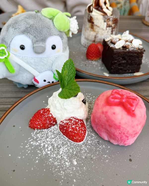 荃灣新店打卡！🤤 環境靚到爆！