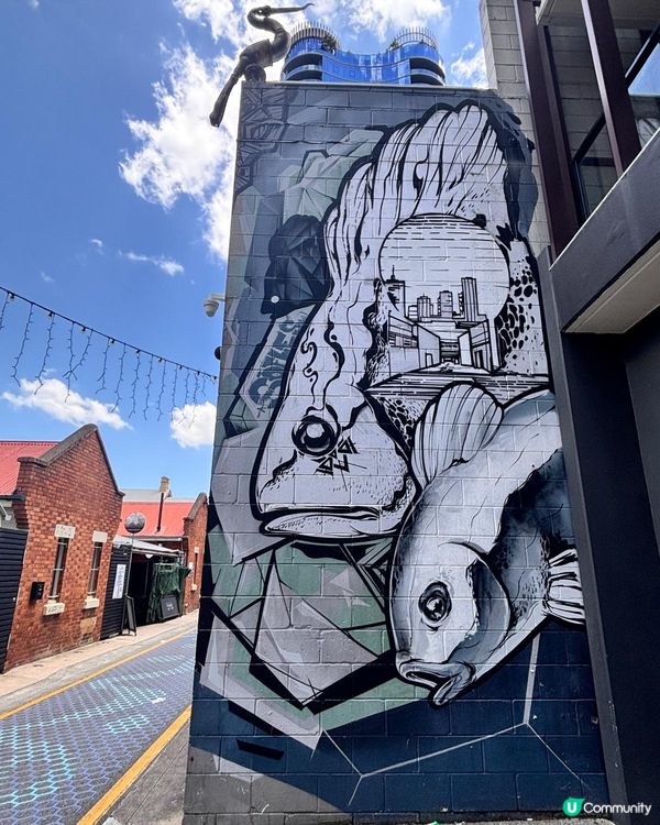 澳洲/布里斯班文青打卡秘境🌃  