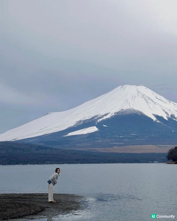 最愛首圖！山中湖非自駕攻略 🗻✨