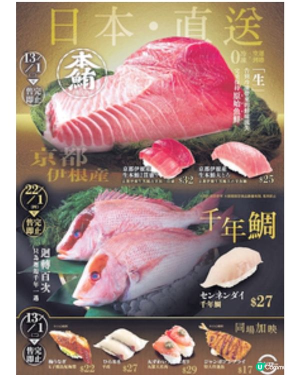 京都伊根生黑鮪吞拿魚登場 壽司郎+杉玉全綫分店免費派發