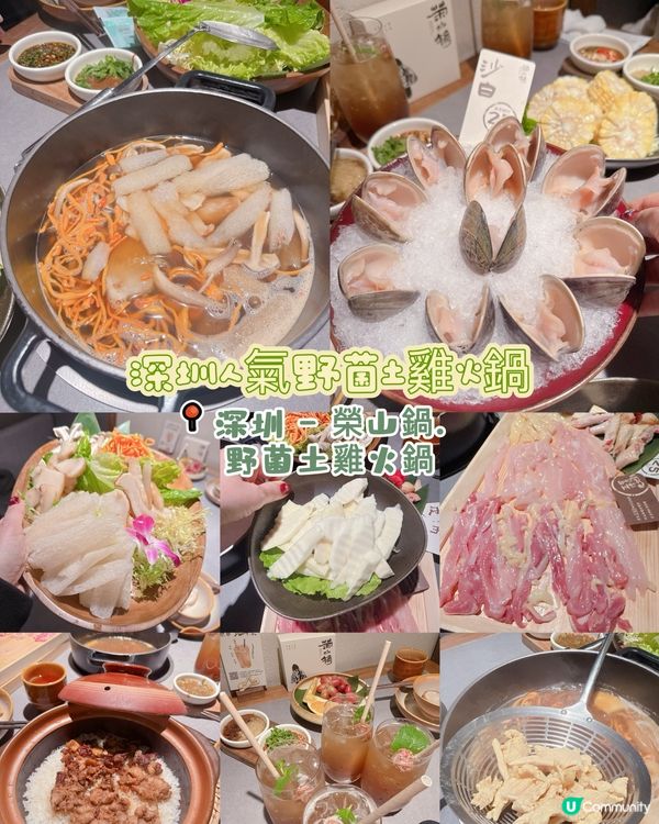 深圳人氣野菌土雞火鍋