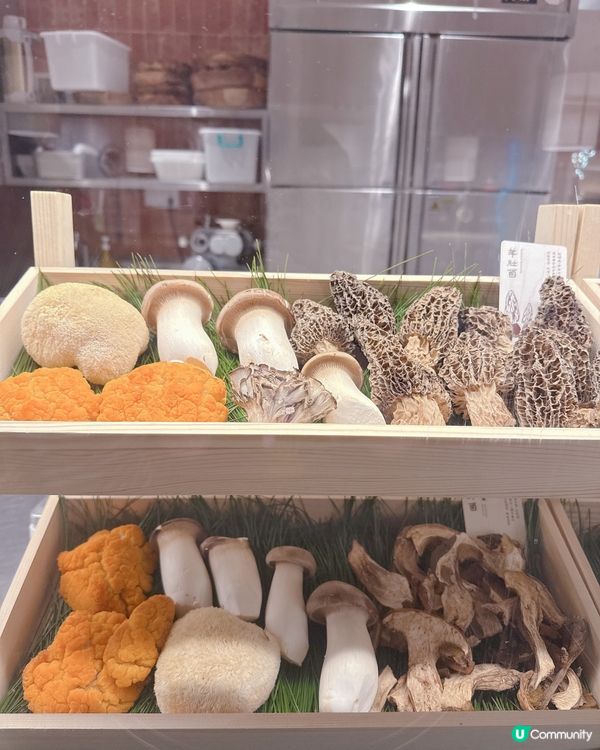 深圳人氣野菌土雞火鍋