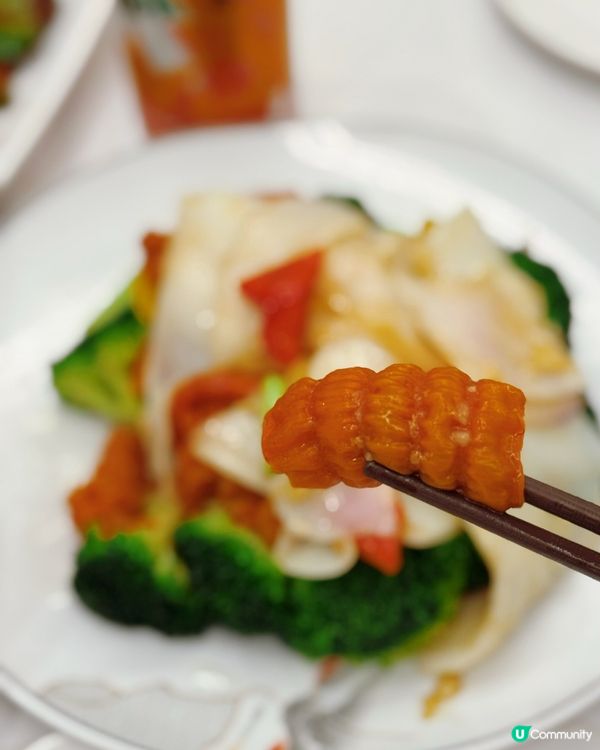 酒店中菜廳開心孖寶套餐😋