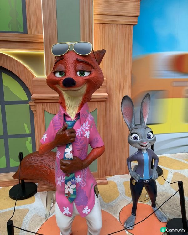 動物城攻陷卓悅！🤩 必影7大位！