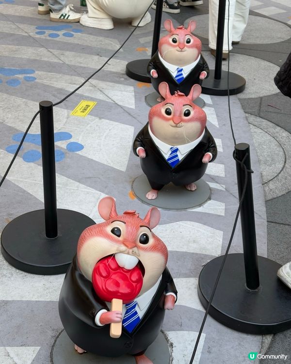 動物城攻陷卓悅！🤩 必影7大位！