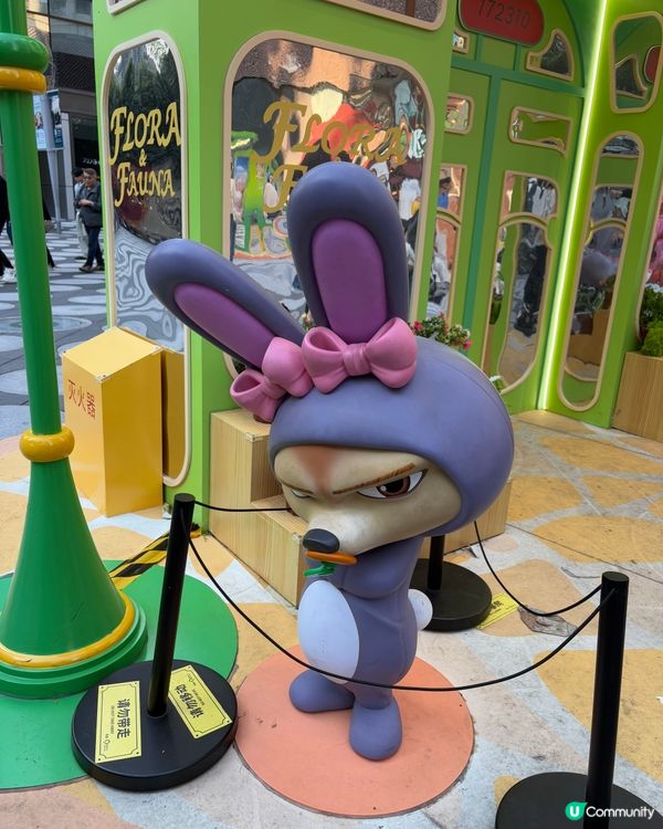 動物城攻陷卓悅！🤩 必影7大位！