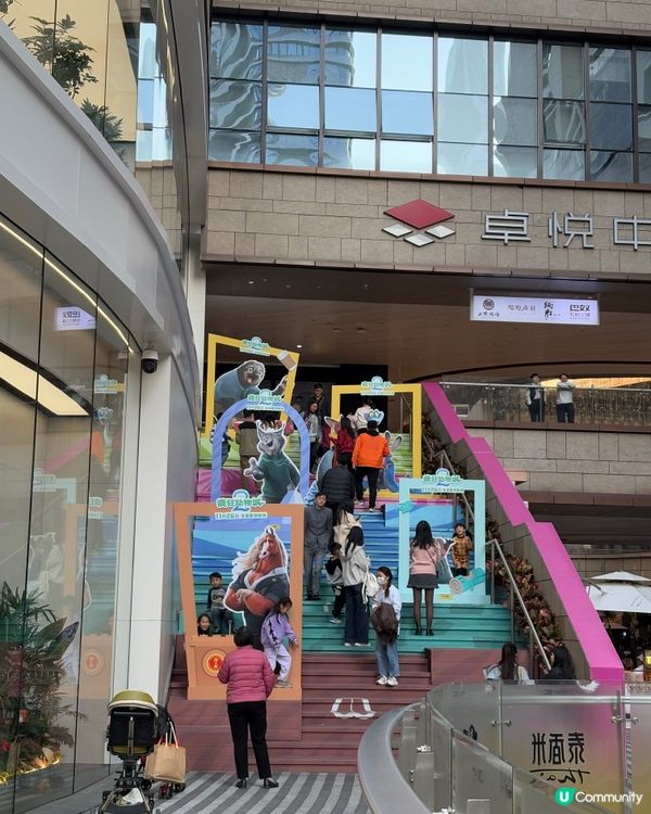 動物城攻陷卓悅！🤩 必影7大位！