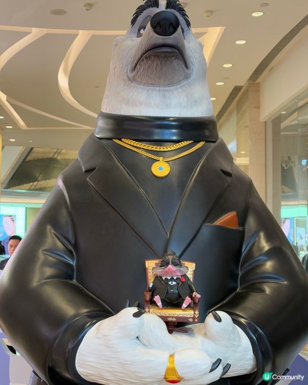 動物城攻陷卓悅！🤩 必影7大位！