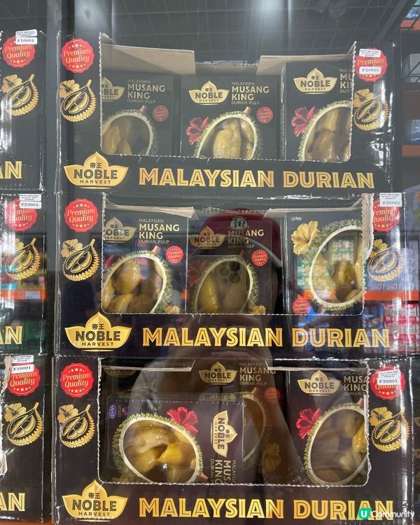 大人國超市探險記！🛒🛍️