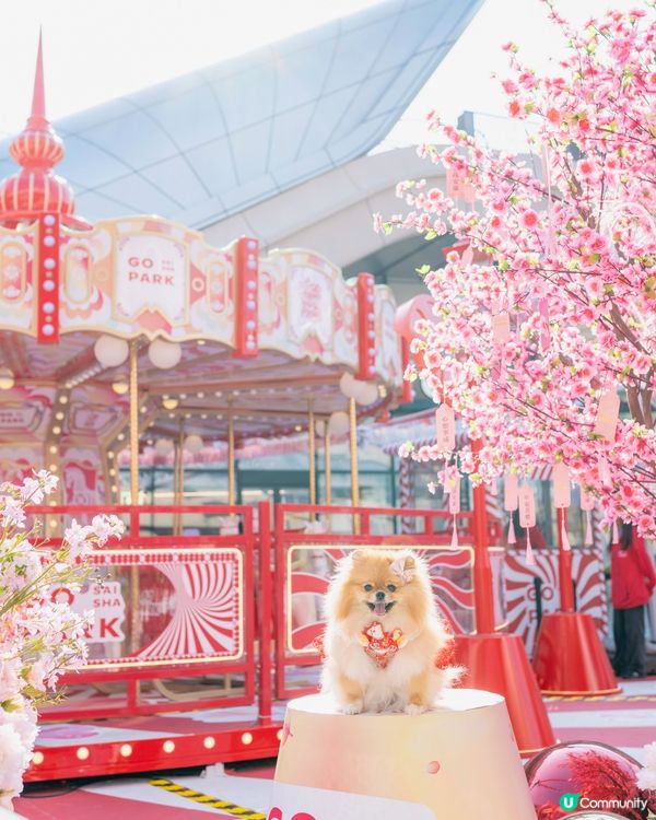 桃花運到！米蘇蘇春日樂園玩到癲！🌸🎠