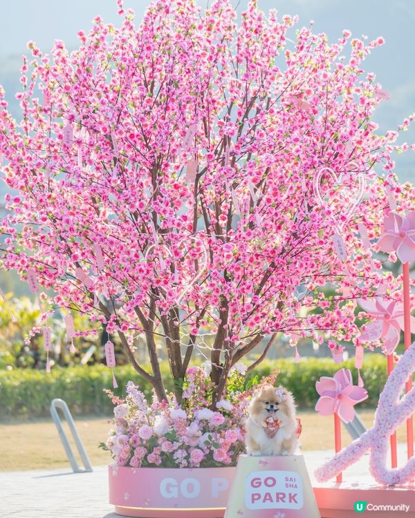 桃花運到！米蘇蘇春日樂園玩到癲！🌸🎠