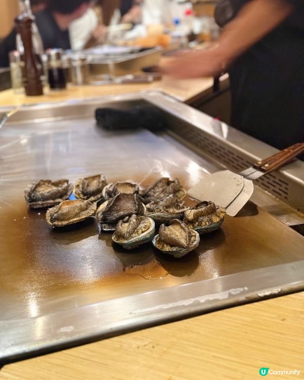 / 帶毛孩食美味鐵板燒 \