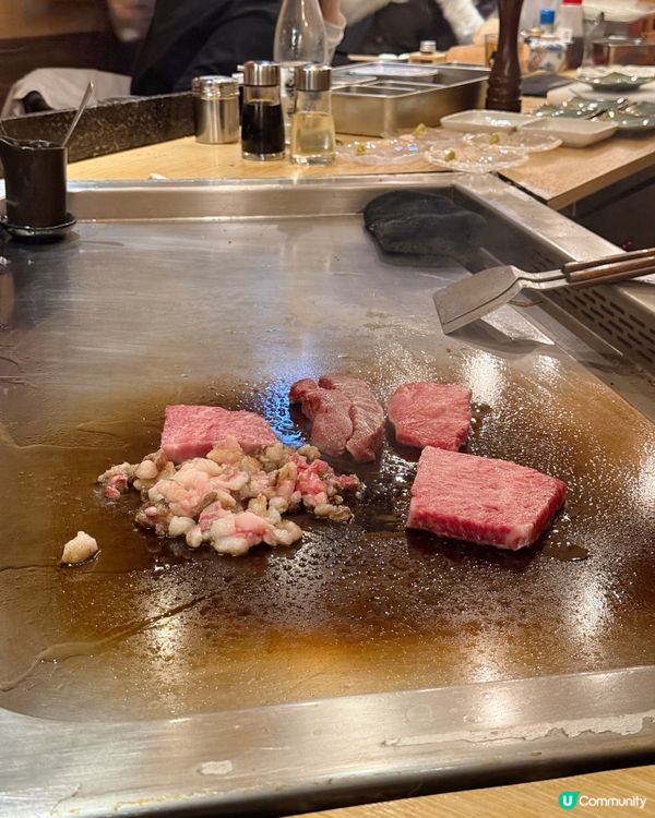 / 帶毛孩食美味鐵板燒 \
