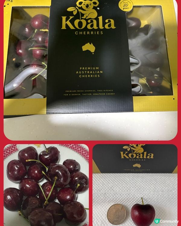 澳洲koala cherries甜到爆！😋