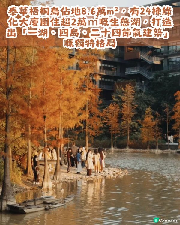 深圳寶安區8.6萬㎡生態園區落羽杉轉紅啦! 附一日遊餐廳+交通攻略