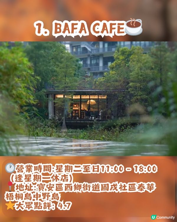 深圳寶安區8.6萬㎡生態園區落羽杉轉紅啦! 附一日遊餐廳+交通攻略