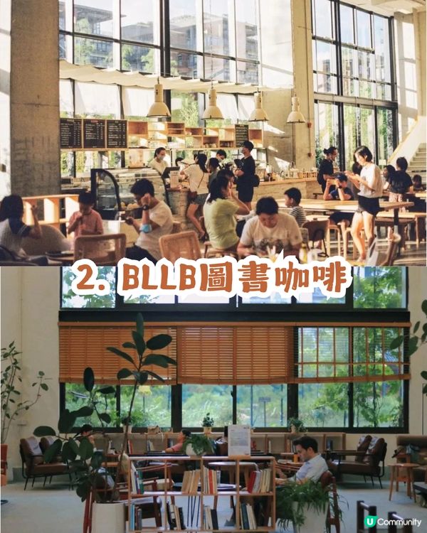 深圳寶安區8.6萬㎡生態園區落羽杉轉紅啦! 附一日遊餐廳+交通攻略