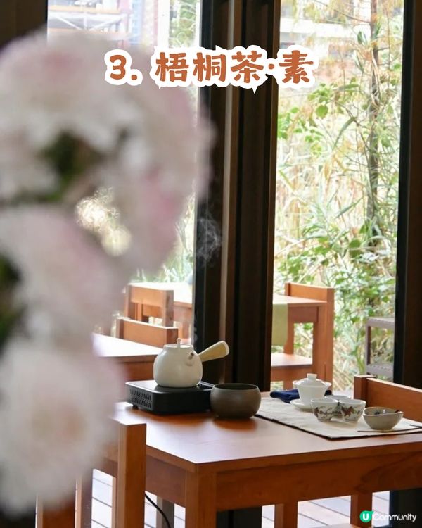 深圳寶安區8.6萬㎡生態園區落羽杉轉紅啦! 附一日遊餐廳+交通攻略