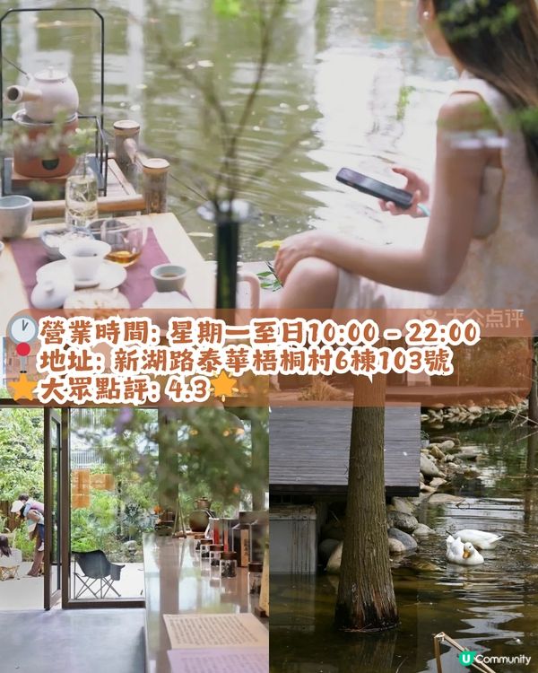 深圳寶安區8.6萬㎡生態園區落羽杉轉紅啦! 附一日遊餐廳+交通攻略