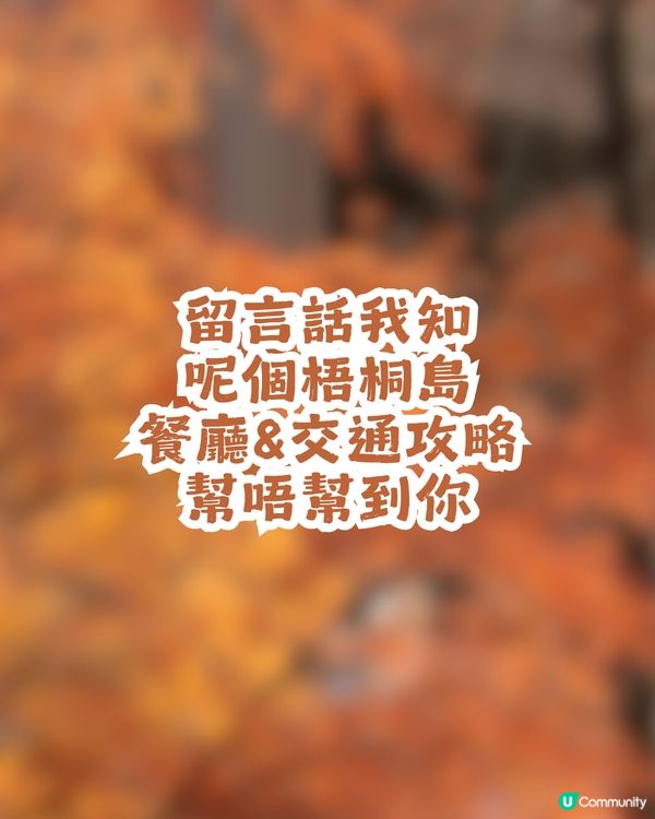 深圳寶安區8.6萬㎡生態園區落羽杉轉紅啦! 附一日遊餐廳+交通攻略