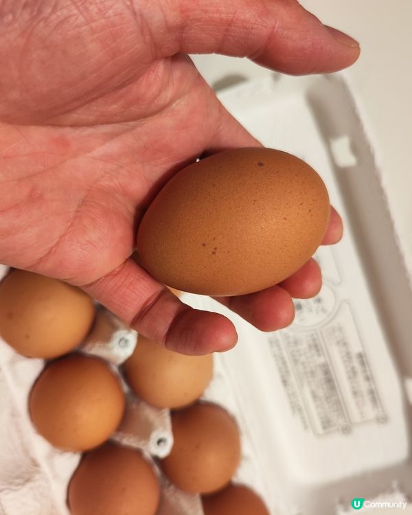 日本蘭王蛋，烚蛋必試！🥚😋