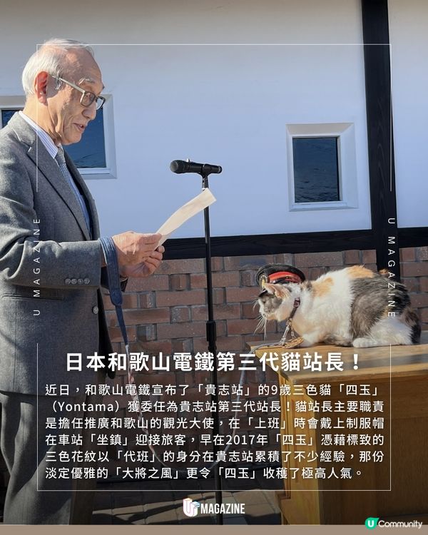 新官上任！和歌山三代貓站長登場