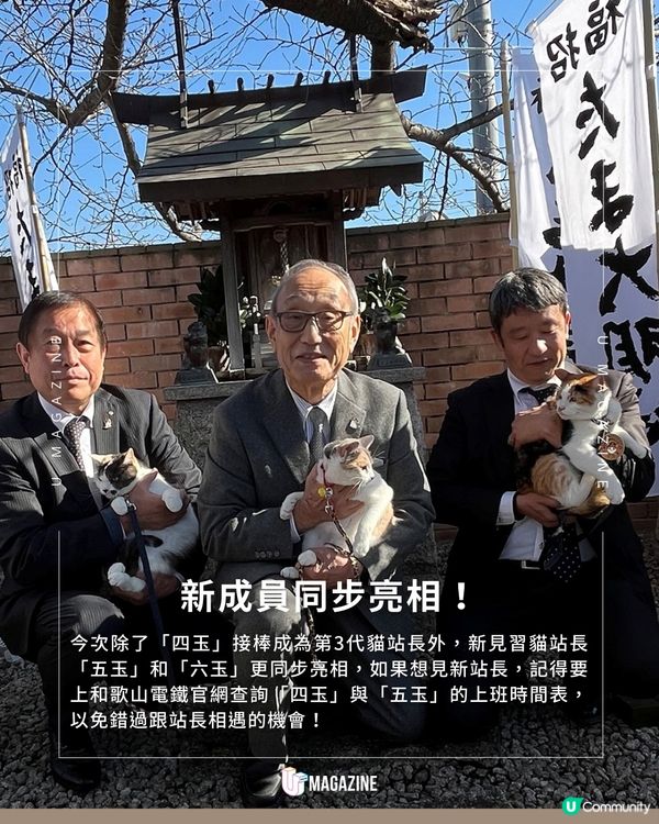 新官上任！和歌山三代貓站長登場