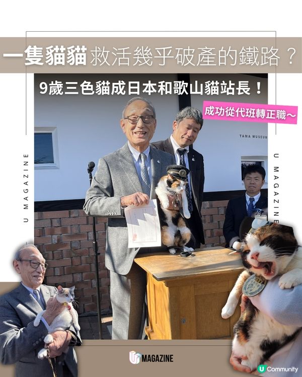 新官上任！和歌山三代貓站長登場