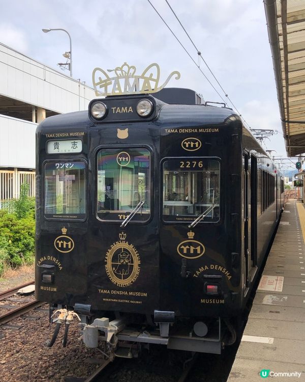 環遊日本🇯🇵｜和歌山市區+貓咪列車日歸攻略