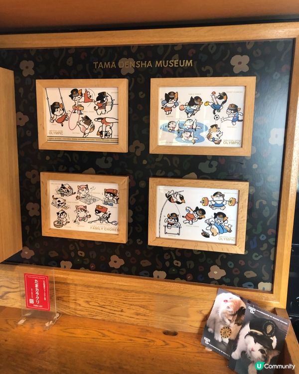 環遊日本🇯🇵｜和歌山市區+貓咪列車日歸攻略