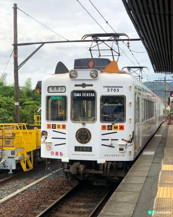 環遊日本🇯🇵｜和歌山市區+貓咪列車日歸攻略