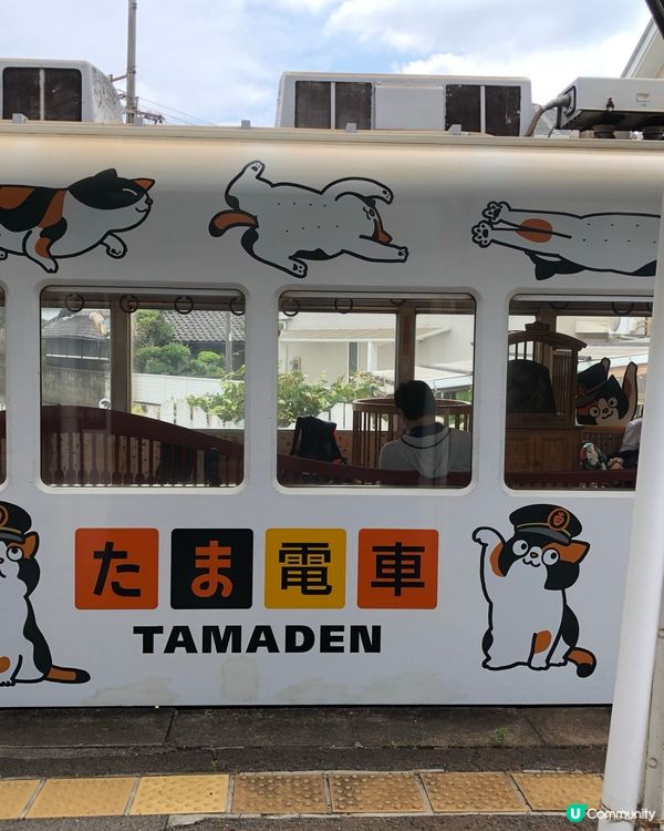 環遊日本🇯🇵｜和歌山市區+貓咪列車日歸攻略