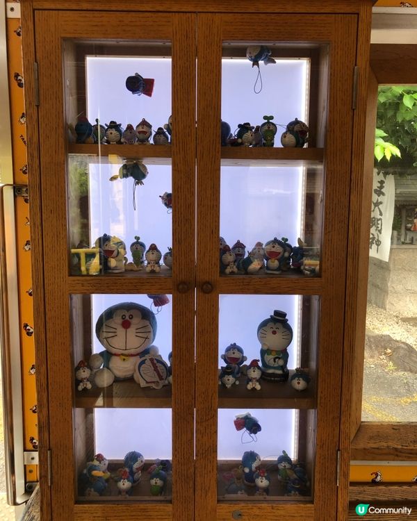 環遊日本🇯🇵｜和歌山市區+貓咪列車日歸攻略