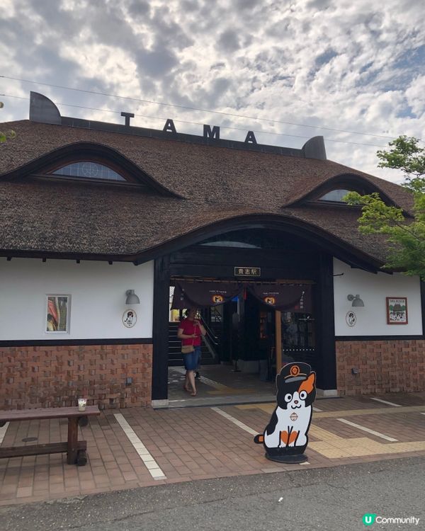 環遊日本🇯🇵｜和歌山市區+貓咪列車日歸攻略