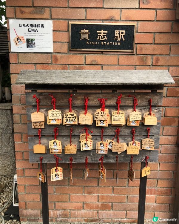 環遊日本🇯🇵｜和歌山市區+貓咪列車日歸攻略