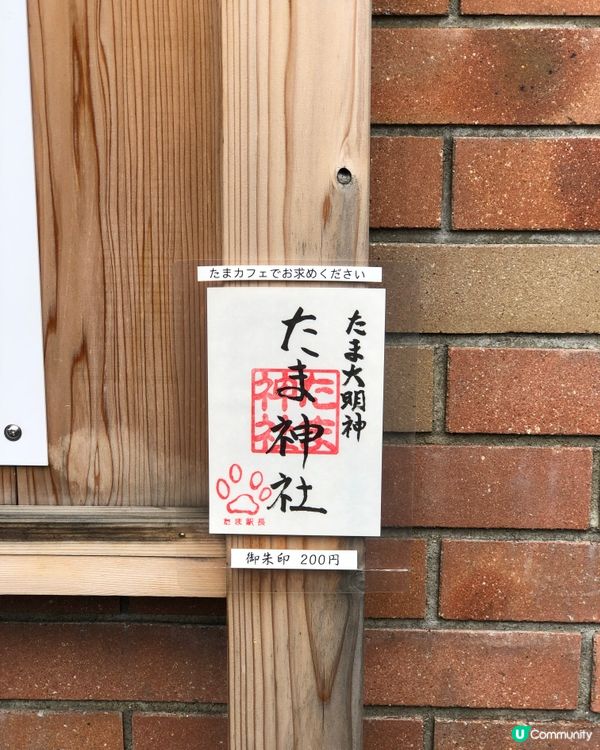 環遊日本🇯🇵｜和歌山市區+貓咪列車日歸攻略