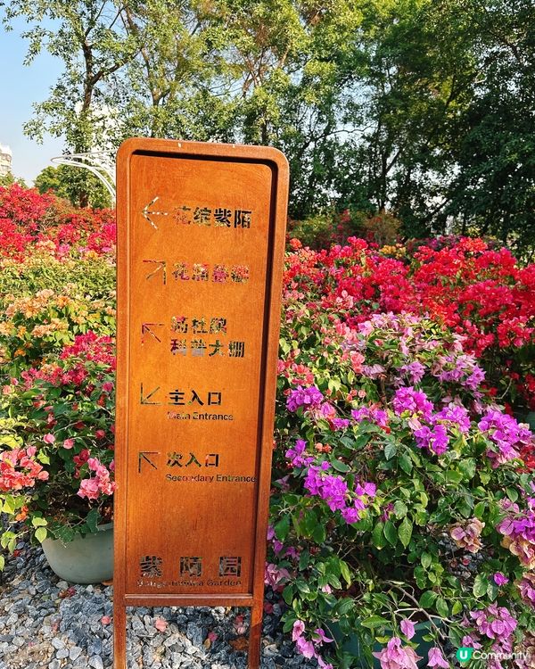 簕杜鵑花圃日記｜蓮花山公園的靜美時光