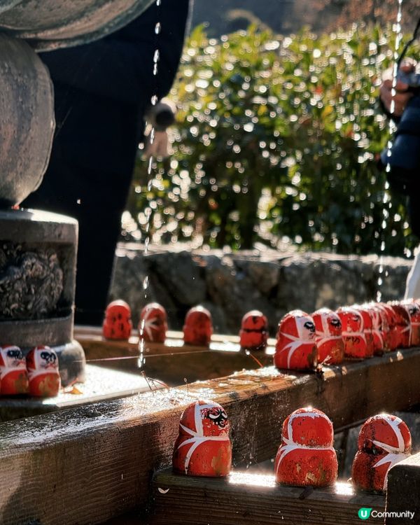 滿山達磨❤️日本勝尾寺⛩️
