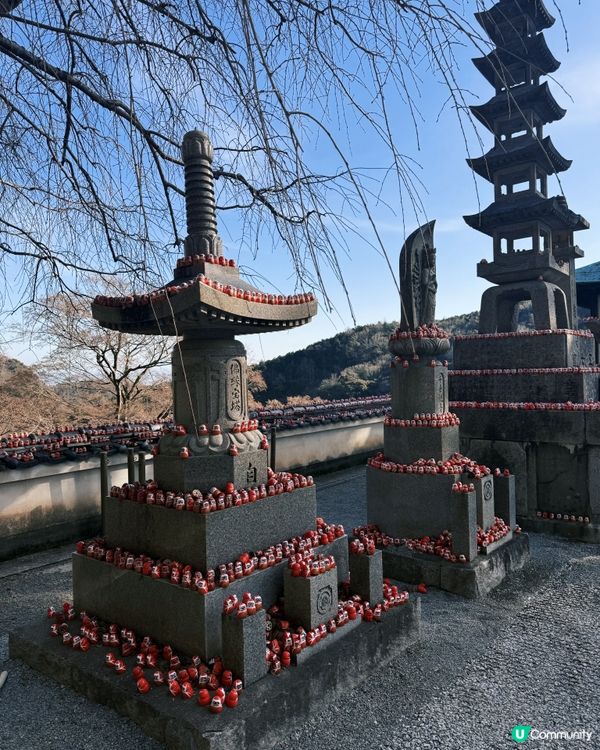 滿山達磨❤️日本勝尾寺⛩️