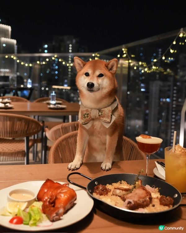 寵物友善～西班牙餐廳