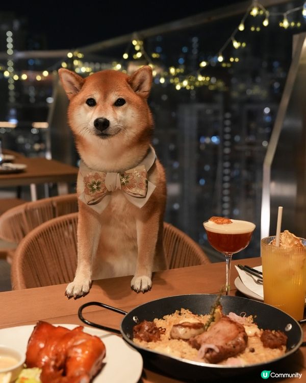 寵物友善～西班牙餐廳