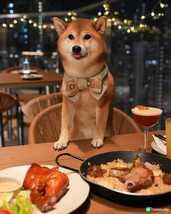 寵物友善～西班牙餐廳