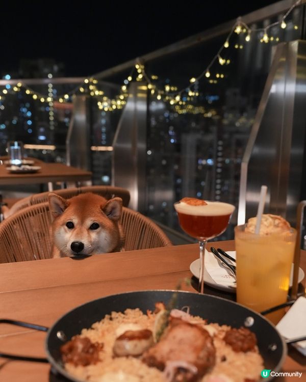 寵物友善～西班牙餐廳