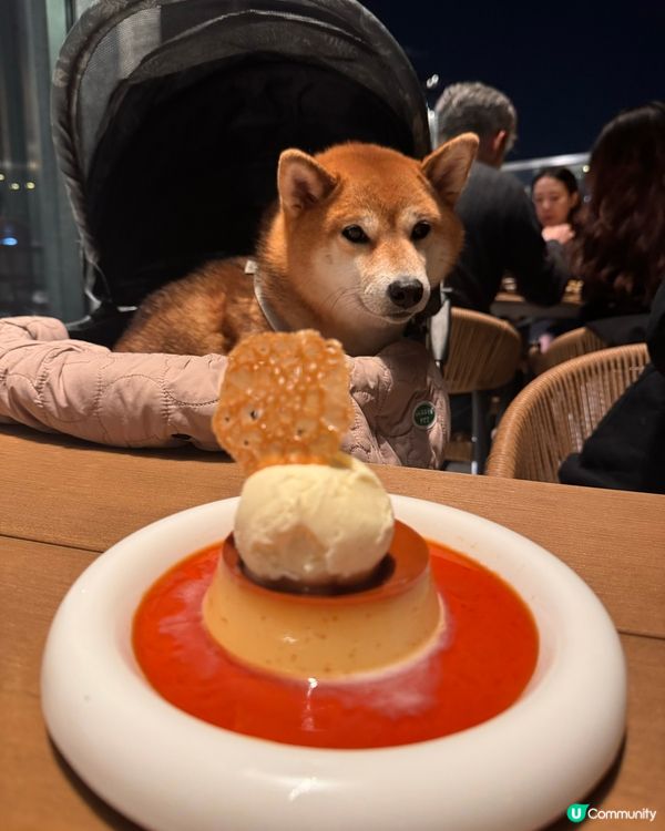 寵物友善～西班牙餐廳