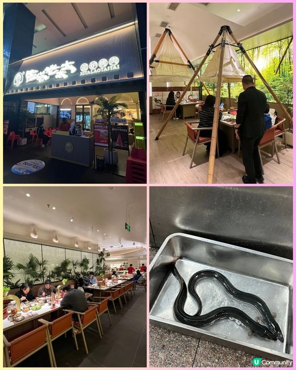 深圳西塔・鰻魚節盛大啟幕！