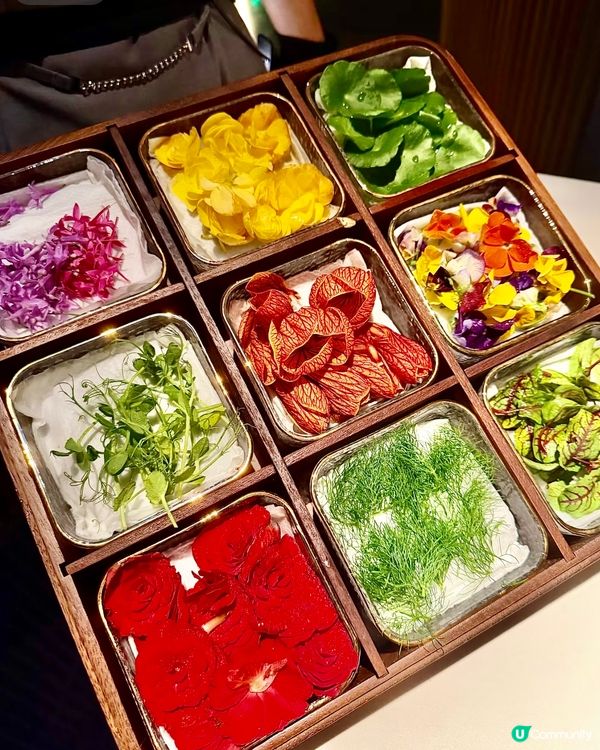 花海鐵板燒🌸浪漫滿分！🤤