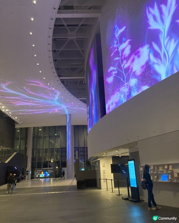 東九文化中心開幕！🎭✨