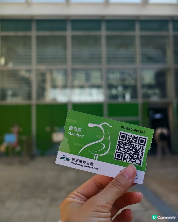 香港熱點🍁🍂天水圍濕地公園落羽松