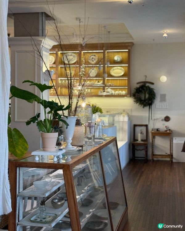 深圳南山區新cafe☕️