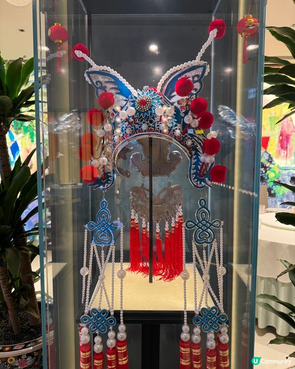 山東菜之選！🥢 中環星級魯菜體驗！✨